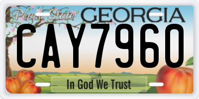 GA license plate CAY7960