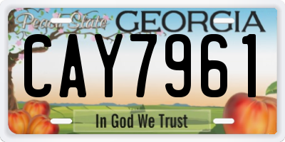 GA license plate CAY7961