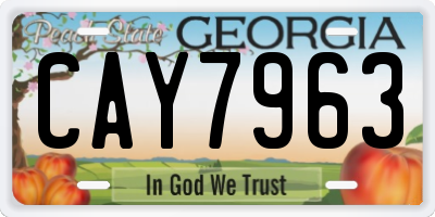 GA license plate CAY7963