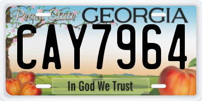GA license plate CAY7964