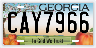 GA license plate CAY7966