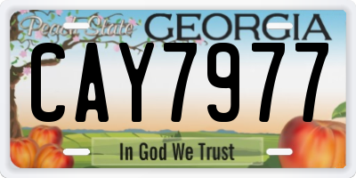 GA license plate CAY7977