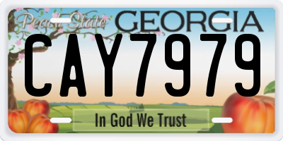 GA license plate CAY7979