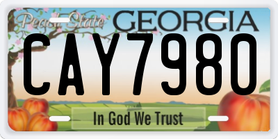 GA license plate CAY7980