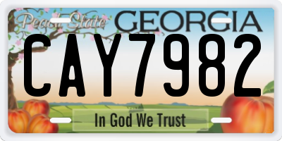 GA license plate CAY7982