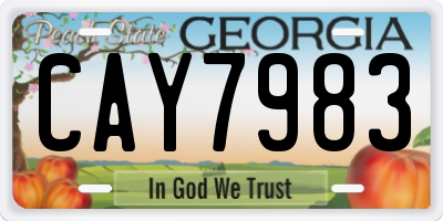 GA license plate CAY7983