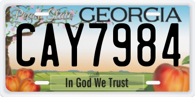 GA license plate CAY7984