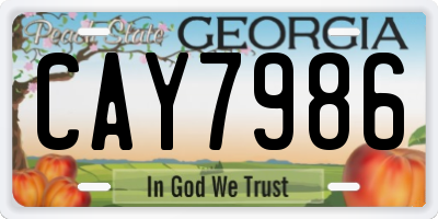 GA license plate CAY7986