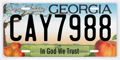 GA license plate CAY7988