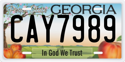 GA license plate CAY7989
