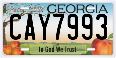 GA license plate CAY7993
