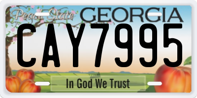 GA license plate CAY7995