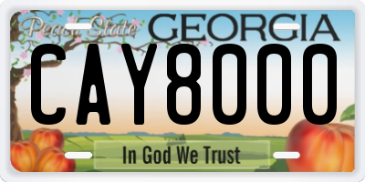 GA license plate CAY8000