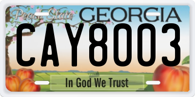 GA license plate CAY8003