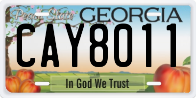GA license plate CAY8011
