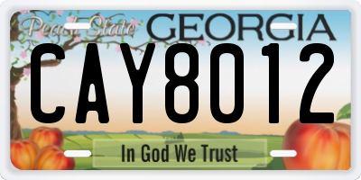 GA license plate CAY8012