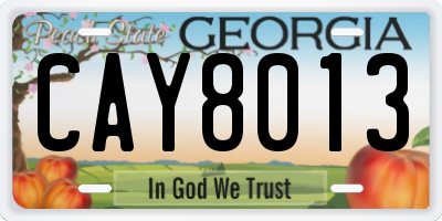 GA license plate CAY8013
