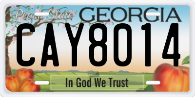GA license plate CAY8014
