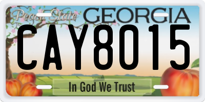 GA license plate CAY8015