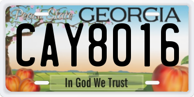 GA license plate CAY8016