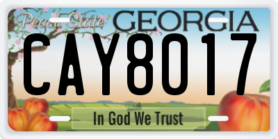 GA license plate CAY8017