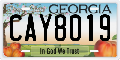GA license plate CAY8019