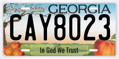 GA license plate CAY8023