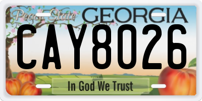 GA license plate CAY8026