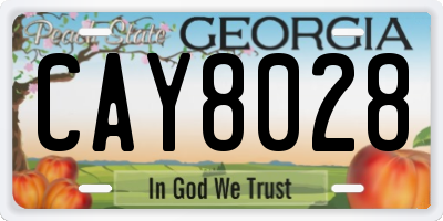 GA license plate CAY8028