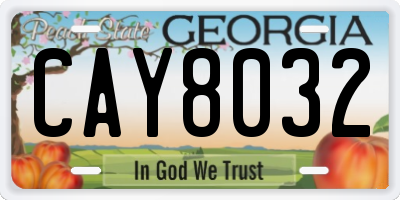 GA license plate CAY8032