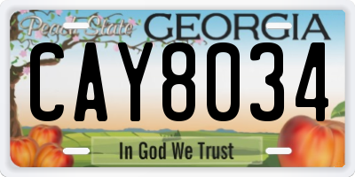GA license plate CAY8034