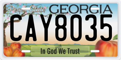 GA license plate CAY8035