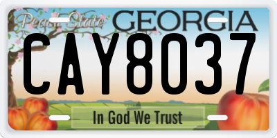 GA license plate CAY8037