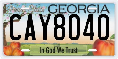 GA license plate CAY8040