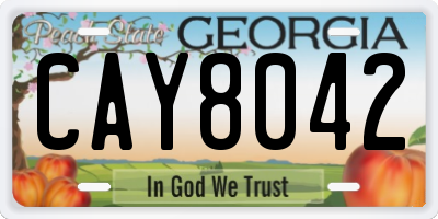 GA license plate CAY8042