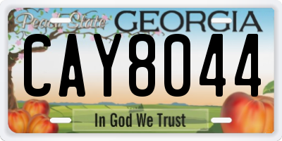 GA license plate CAY8044