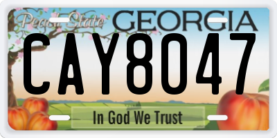 GA license plate CAY8047