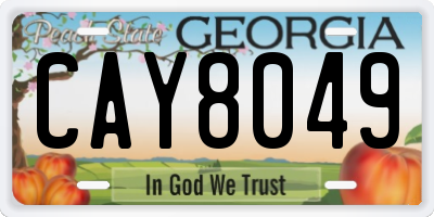 GA license plate CAY8049