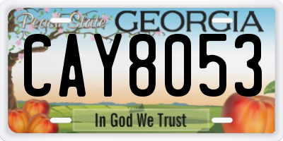 GA license plate CAY8053