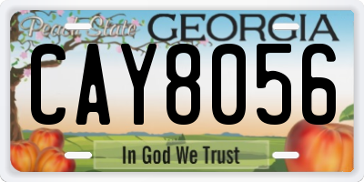 GA license plate CAY8056