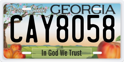 GA license plate CAY8058