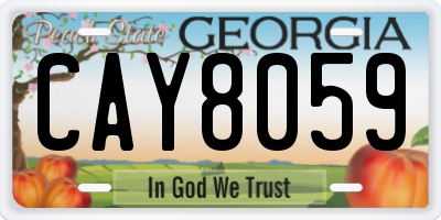 GA license plate CAY8059