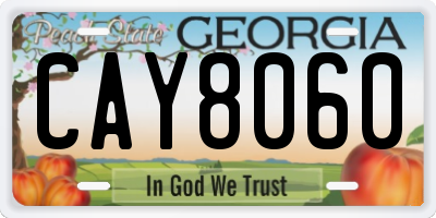 GA license plate CAY8060