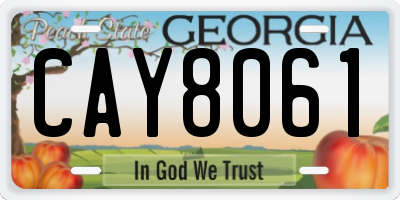 GA license plate CAY8061