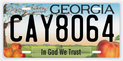 GA license plate CAY8064