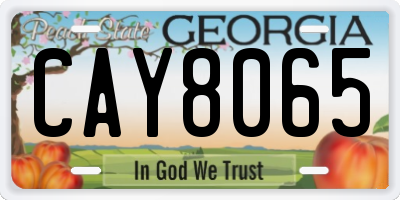 GA license plate CAY8065