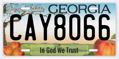 GA license plate CAY8066