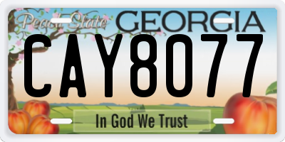 GA license plate CAY8077