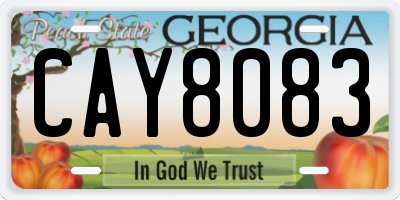 GA license plate CAY8083