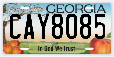 GA license plate CAY8085